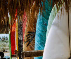 Premium surfboards